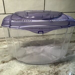 Beta fish tank